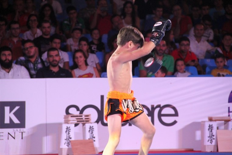 Martial Arts Festival
